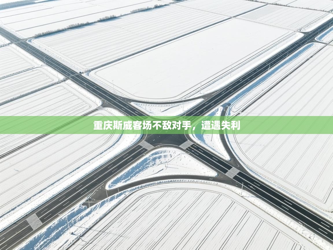 重庆斯威客场不敌对手,遭遇失利 第1张